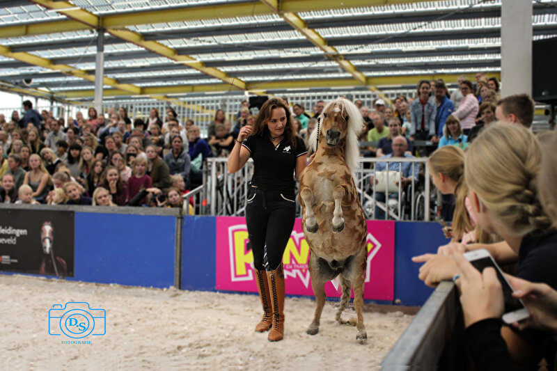 Eva roemaat en haar superpony!