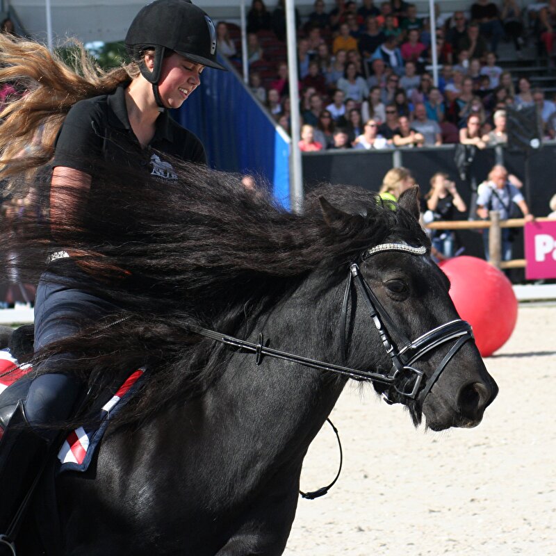 m'n haar danst!
