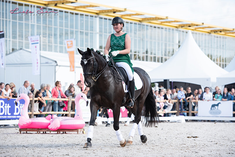 Groninger Paard