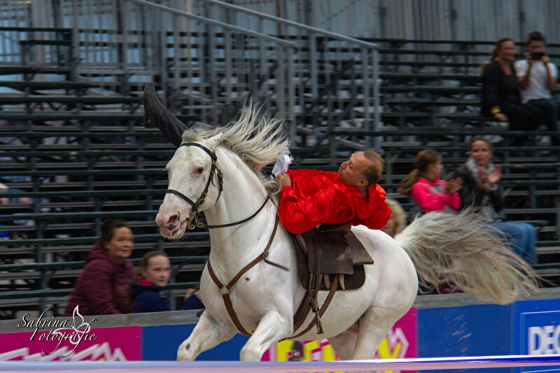 Uitdrukking en kracht van een paard