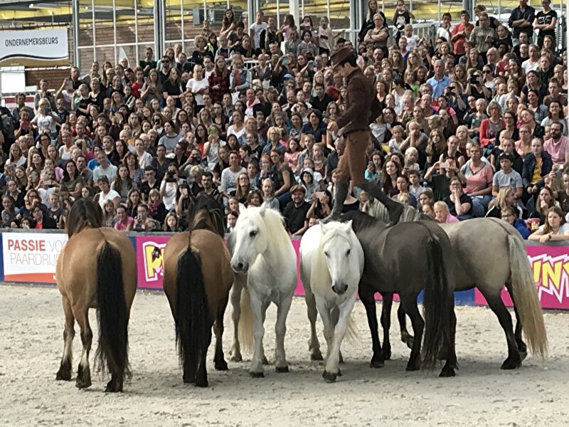 Pierre Fleury; wat een ongelofelijke paardenman!