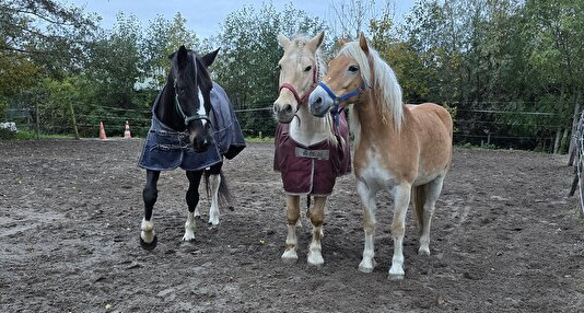 Als pensionstal overstappen naar 24/7 buiten