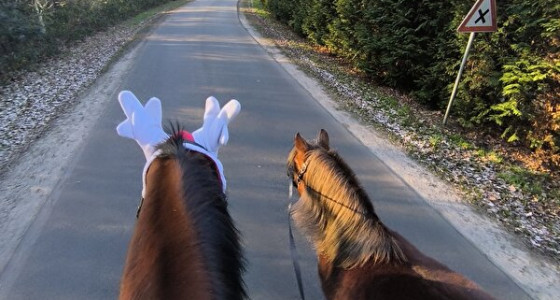 [AR] [HK] De paden op, de lanen in...... rijtuigje deel 9