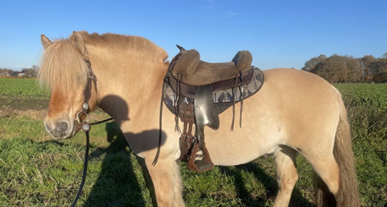 Toch maar een andere singel??