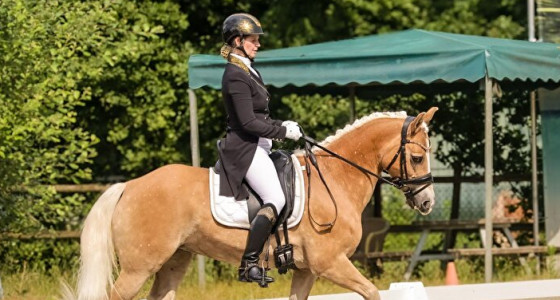 Met je pony tussen de paarden starten