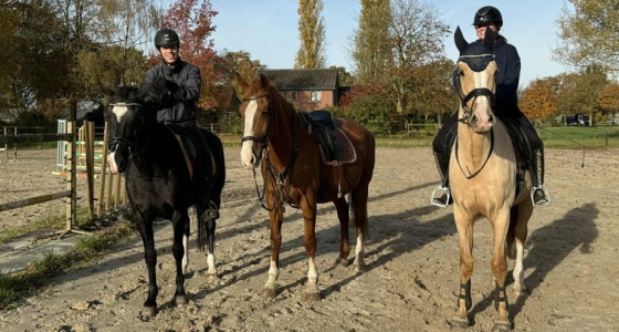 [VOLG] Ons gelders geweld het jaar door