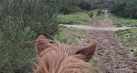 Wandelen brengt ons veel plezier dus gaan we verder in deel 4