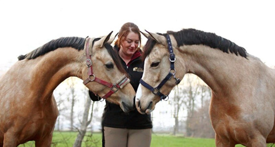 Welsh Sportpony ronde 7; op naar een nugget