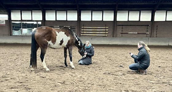 Onverwachte baby on the way!