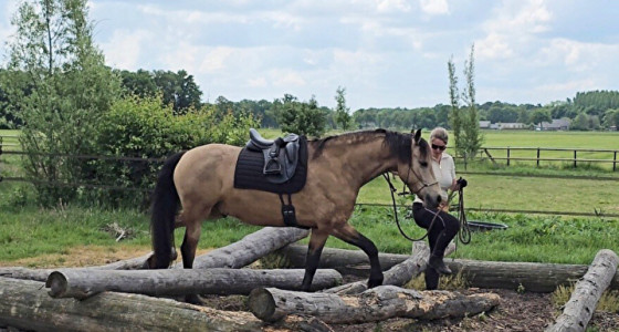 Extreme Trail Avontuur bij Magnolia Ranch!