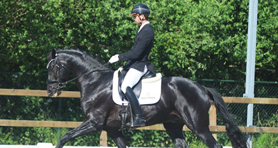 Fototopic WK jonge dressuurpaarden selectie