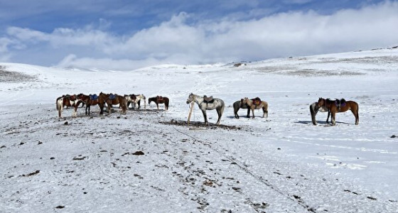 Paardrijden in Kirgizië
