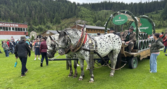 [BLOG] Deel 2; Het Frühlingsfest der Pferde