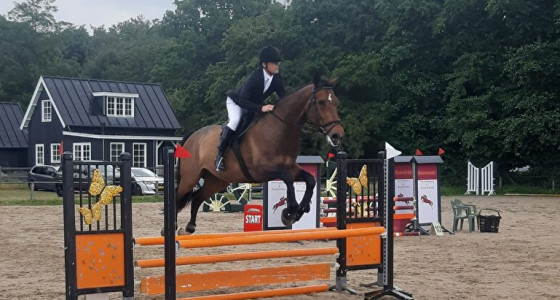 [EJL-ITP] Een bomvol paardenjaar met Chip, JB en ........