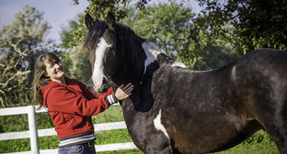 10 jaar lang met Rock-it