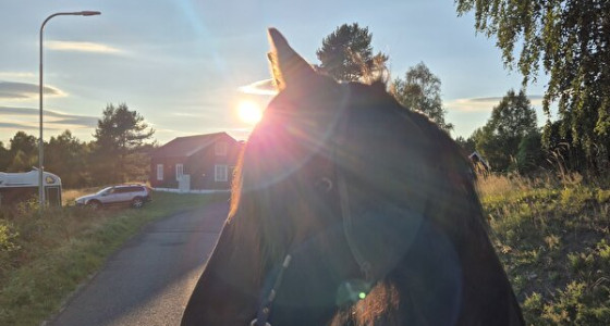 [VOLG] Solfix in Sweden!