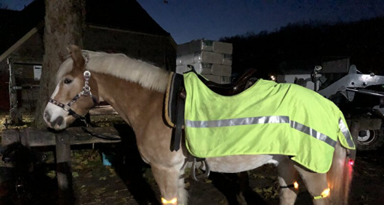 Zichtbaarheid in de winter