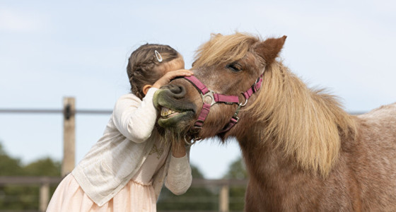 Old but gold - Saartje