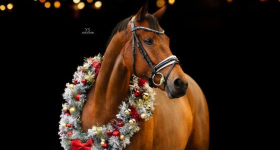 Promise op haar mooist