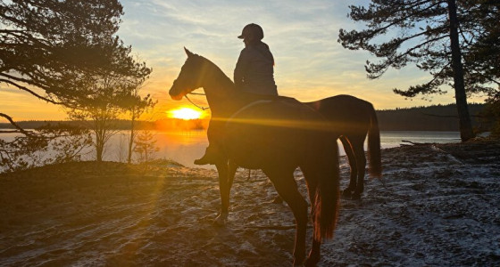 Vrieskou, zon en Zweden