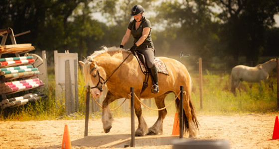 Een jaar met mijn gouden vriendinnetje