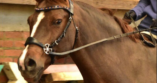 [EJL-ITP] 2025, Boelie z'n wannabe-brokkenpiloot jaar