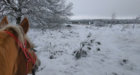 Magische sneeuwrit door Winter Wonderland