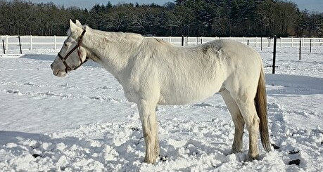 Wit is nu niet zo wit