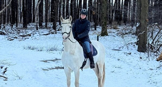 KWPN'ers op buitenrit in de sneeuw!
