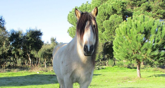 Schok en ochtendfoto´s.