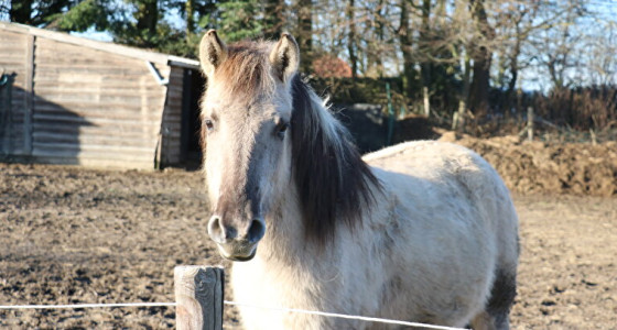 Eerste zonnetje van het jaar!