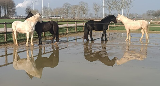 Pootje baden in de zon