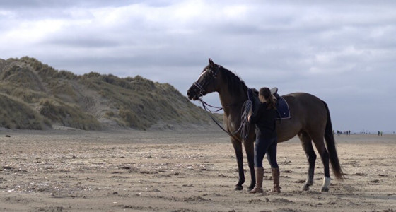 Na 15 jaar herenigd met verzorgpaard..