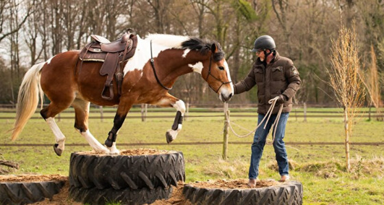 Ice in de extreme trailtuin @work