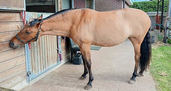 Vraagje aan de kleuren experts