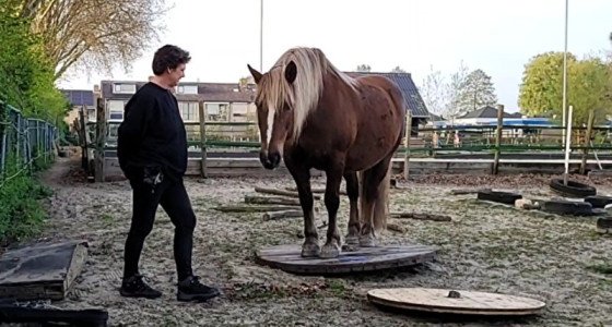 Trailtuinen noord nederland