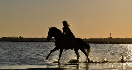 Droompaarden vakantie in Tunesie
