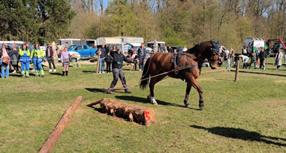 [FOTO] Polderkampioenschap 2026